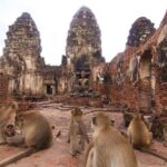 Private tour to Ayutthaya and Lopburi Monkey Temple (from Bangkok) - Exploring Ayutthaya: Ruins, Temples, and Royal Heritage