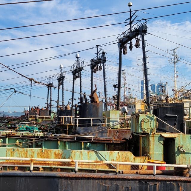 Private tour to Busan, the Marseille of Korea - A Day in Busan: What to Expect and Why It Matters