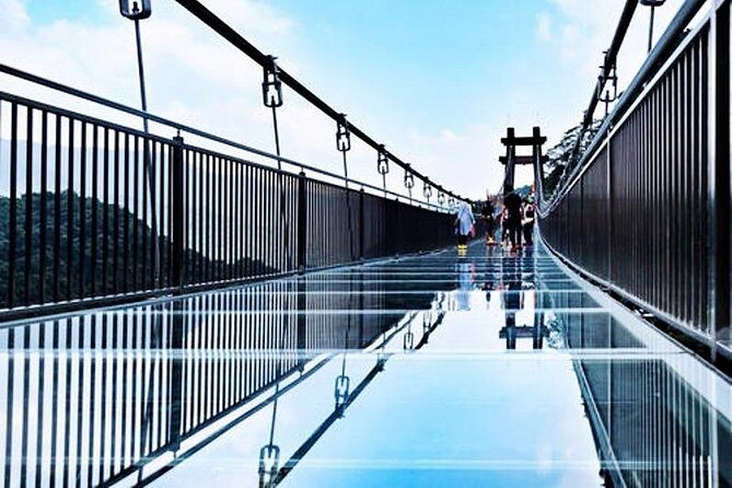 Private Tour to Gulong Canyon with Glass Bridge and Water Falls from Guangzhou - Who Should Consider This Tour?