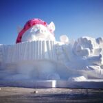 Private Tour to Ice and Snow Festival in Harbin - Who Should Book This Tour?