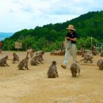 Private Tour to Monkey Park and Arashiyama Highlights - Detailed Breakdown of the Experience