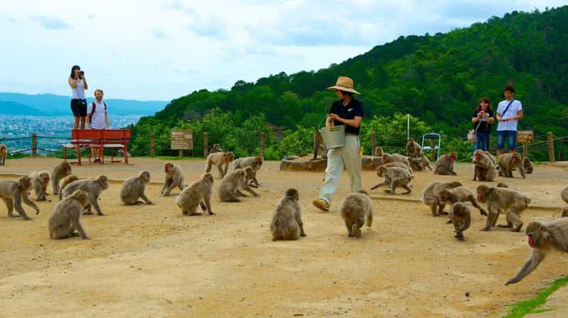 Private Tour to Monkey Park and Arashiyama Highlights - Detailed Breakdown of the Experience