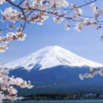 Private Tour to Mt Fuji and Hakone with English Driver - An In-Depth Look at What to Expect