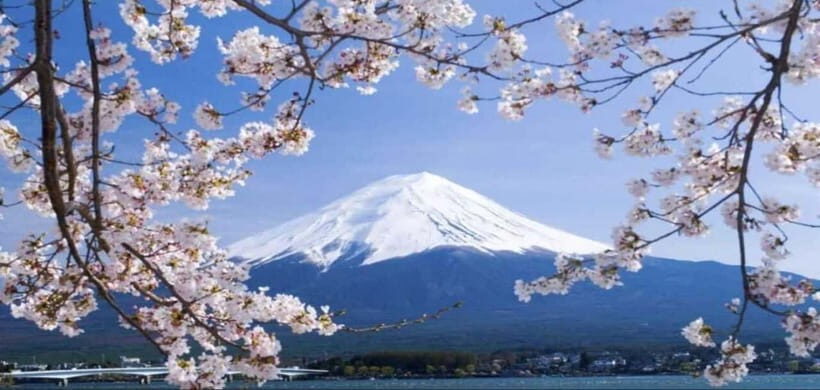 Private Tour to Mt Fuji and Hakone with English Driver - An In-Depth Look at What to Expect