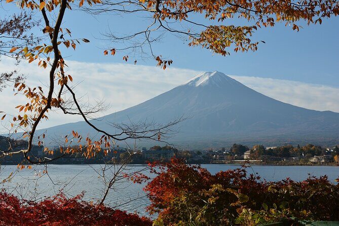 Private Tour to Mt Fuji and Hakone with English Speaking Driver - Who Should Consider This Tour?