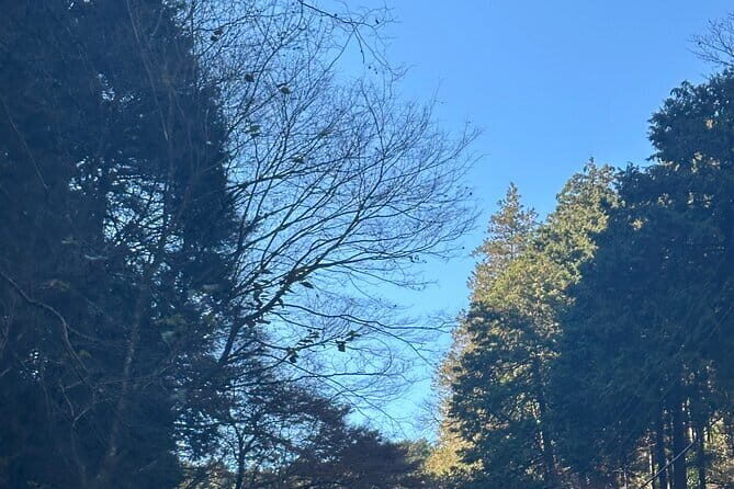 Private Tour to Mt Fuji and Hakone with English Speaking Driver - Final Thoughts: Is it Worth It?