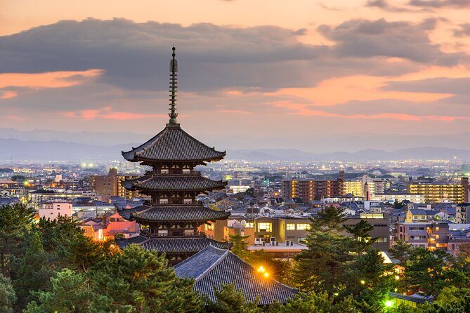 Private Tour to Nara from Osaka with English speaking Driver - What Makes This Tour Stand Out