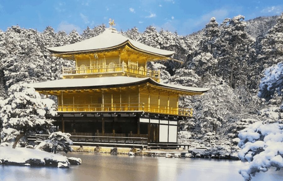 Private tour to Osaka&Kyoto&Nara(Pickup location selectable) - Osaka: The Dynamic Gateway