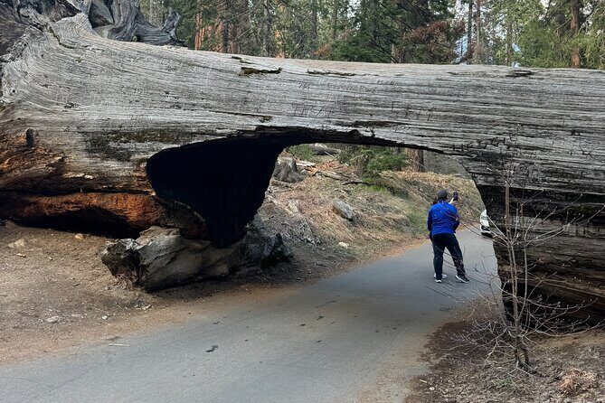 Private Tour to Sequoia and Kings Canyon National Parks - Who Should Consider This Tour?