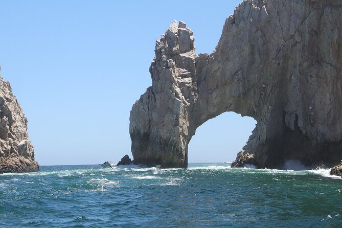 Private Tour to the Arch of Cabo San Lucas by Glass Bottom Boat - Who Will Love This Tour?