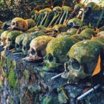 Private Tour to Trunyan Village "Skull Island of Bali" - Whats Included and How It Adds Value