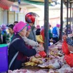 Private tour to Xizhou old town local market Erhai lake three Pagodas from Dali - Who Would Love This Tour?