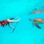 Private Tour Tulum, Reef & Cenote-Cavern from Playa del Carmen - Authentic Experiences and Real Guest Feedback