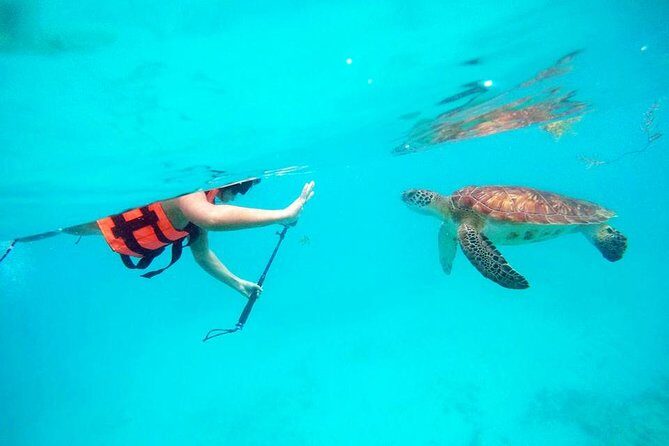 Private Tour Tulum, Reef & Cenote-Cavern from Playa del Carmen - Authentic Experiences and Real Guest Feedback