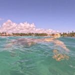 Private Tour: Turtle Swim & Underground Cenote - What’s Included and What to Budget For