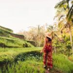 Private Tour Ubud: Swing at Rice Field with Temple and Waterfall - Authentic Insights from Reviews