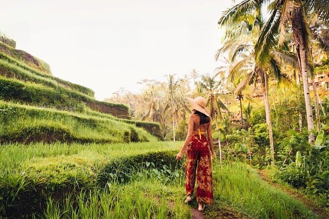 Private Tour Ubud: Swing at Rice Field with Temple and Waterfall - Authentic Insights from Reviews