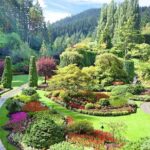 Private Tour: Victoria and Butchart Gardens Day Trip - A Detailed Look at This Victoria Day Trip