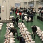 Private Toyosu & Tsukiji Market Adventure with Tuna Auction - A Deep Dive Into the Toyosu & Tsukiji Market Experience