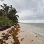 Private Transfer-Cancun Airport-Playa del Carmen One Way - A Detailed Look at the Cancun to Playa del Carmen Transfer