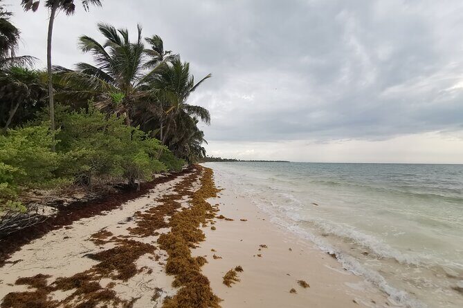 Private Transfer-Cancun Airport-Playa del Carmen One Way - A Detailed Look at the Cancun to Playa del Carmen Transfer