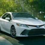 Private Transfer from Bangkok Airport/City to Hua Hin - The Sum Up: Who Will Love This Transfer?