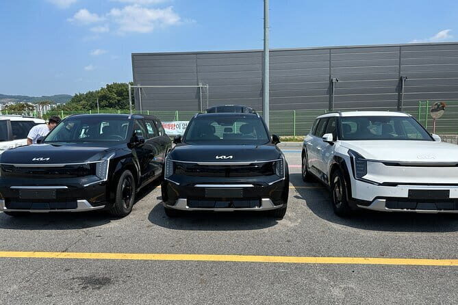 Private Transfer from Incheon Airport-ICN to Seoul - Who Should Consider This Service?