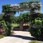 Private Transfer: Louis Armstrong Airport MSY to New Orleans in Luxury SUV - A Detailed Look at the Transfer Experience