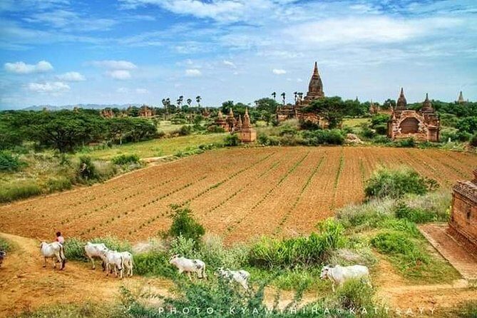 Private Transfer Of Mandalay To Bagan - The Itinerary in Detail