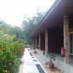 Private Transfer to Taman Negara from Kuala Lumpur - In-Depth Breakdown of the Experience