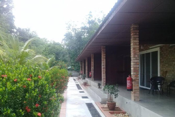 Private Transfer to Taman Negara from Kuala Lumpur - In-Depth Breakdown of the Experience