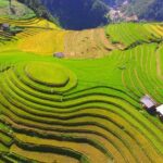 Private transfers Between Hanoi and Mu Cang Chai - An in-Depth Look at the Transfer Experience