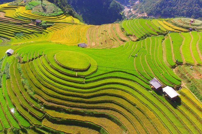 Private transfers Between Hanoi and Mu Cang Chai - An in-Depth Look at the Transfer Experience