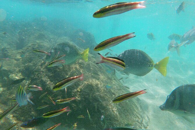 Private transportation Airport-Hotel or Hotel-Airport - The Practicality of Private Airport Transfers in Los Cabos