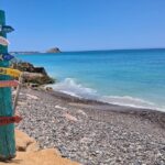 Private Transportation at VAN Airport Los Cabos - Cabo Pulmo Park - Detailed Review of the Private Transportation Service