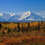Private Transportation Between Fairbanks and Denali National Park - What’s Included and What’s Not