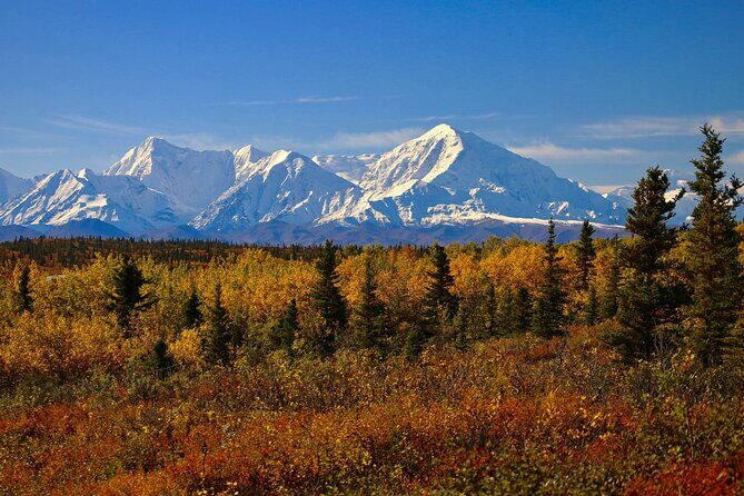 Private Transportation Between Fairbanks and Denali National Park - What’s Included and What’s Not