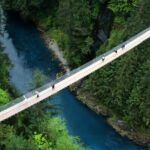 Private Transportation to Capilano Suspension Bridge Park - Exploring the Experience in Detail