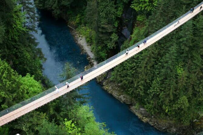 Private Transportation to Capilano Suspension Bridge Park - Exploring the Experience in Detail