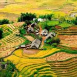PRIVATE Trekking Sapa Tour 2 Days 1 Night ( Homestay Overnight) - FAQs