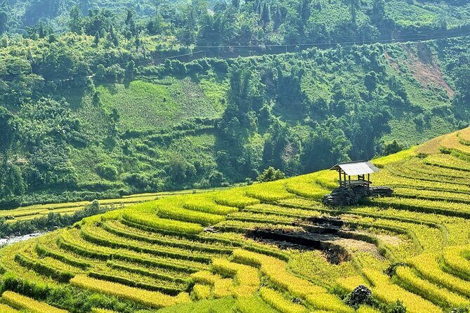 Private Trekking through Terraces Rice Fields in Sapa - The Sum Up: Why Choose This Trek?