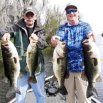 Private Trophy Bass Harris Chain of Lakes Fishing Charter - Authentic Voices: What Travelers Say