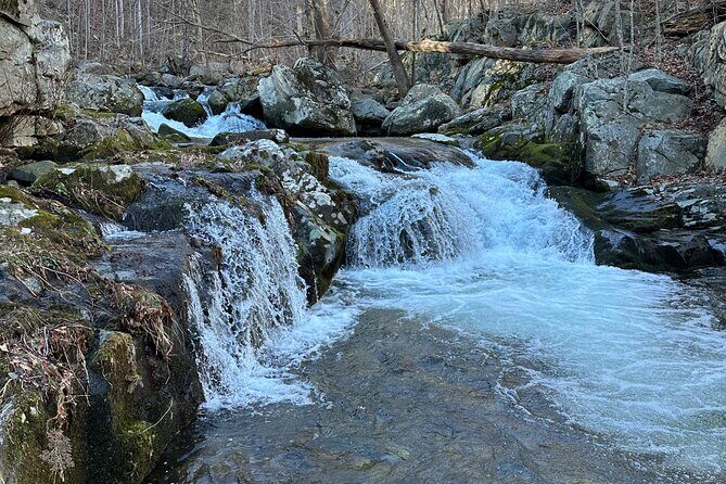 Private Trout Fishing Excursion in Virginia - The Experience in Detail