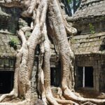 Private Tuk Tuk Tour to Angkor Wat and Small Circle with Two Extras - Exploring the Temples: A Detailed Breakdown