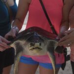 Private Tuk-Tuk Village Tour - From Bentota Hotels - What We Appreciate and Worry About