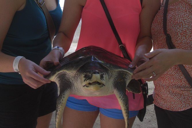 Private Tuk-Tuk Village Tour - From Bentota Hotels - What We Appreciate and Worry About