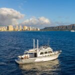 Private Turtle Canyon Snorkel Tour - Up to 6 Passengers - Why Travelers Love This Tour