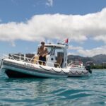 Private Turtle Snorkel & Cruise Waikiki - Who Will Love This Tour?