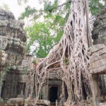 Private Two Day Trip: Angkor Temples with Floating Village - Who Would Enjoy This Tour?