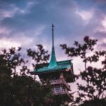 Private & Unique Kyoto Cherry Blossom "Sakura" Experience - Who Is This Tour Best For?